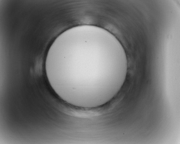 X0000088210012200705292102