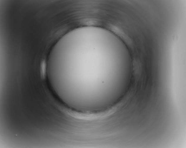 X0000088210014200705292101