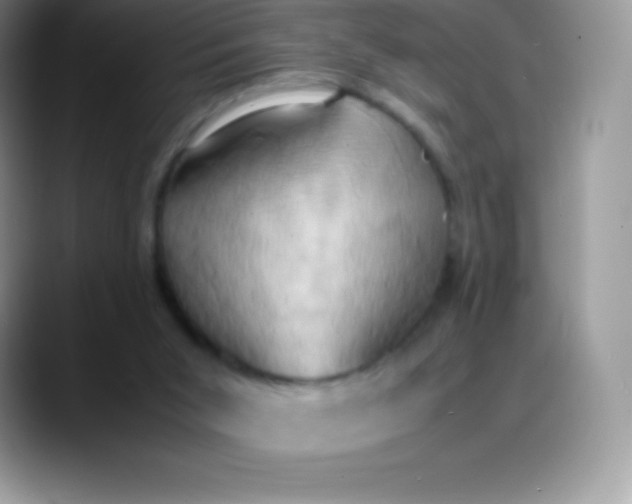 X0000088210015200705292101