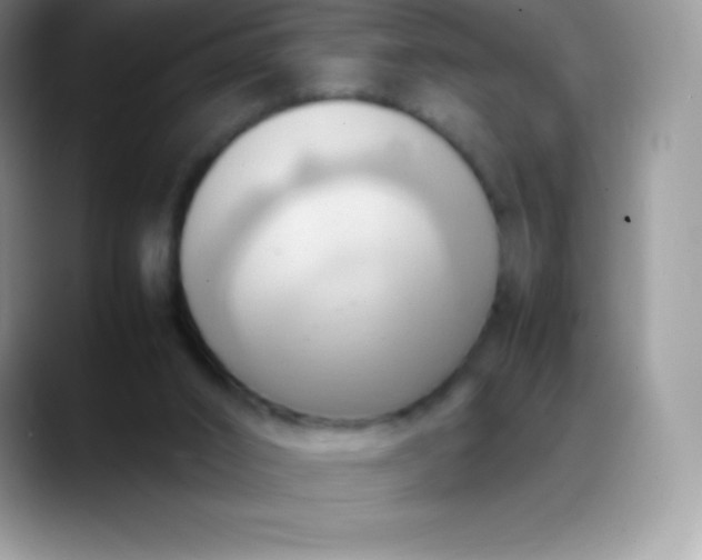 X0000088210016200705292101