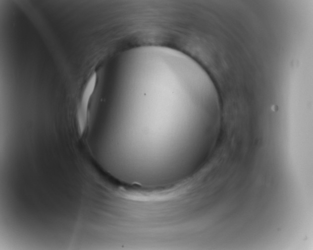 X0000088210017200705292101