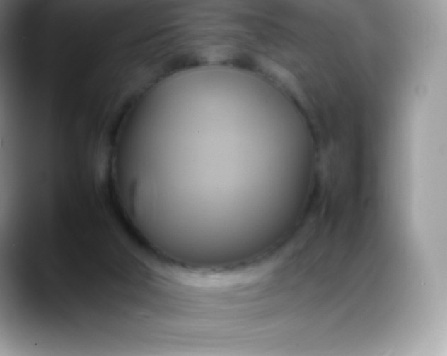 X0000088210018200705292101