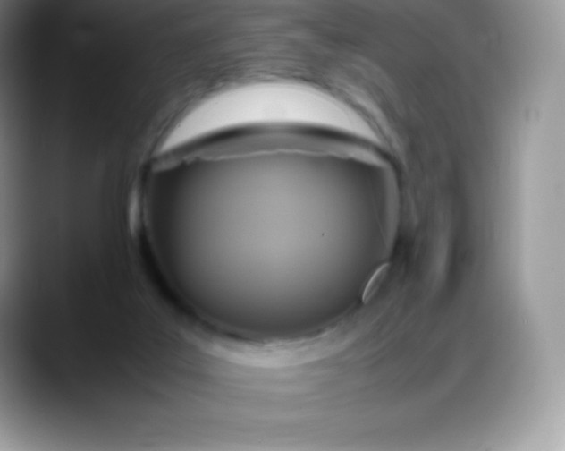 X0000088210019200705292101