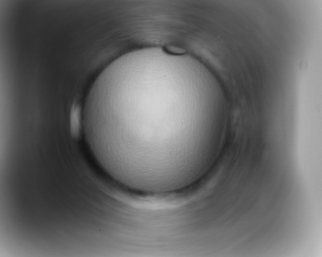 X0000088210020200705292101