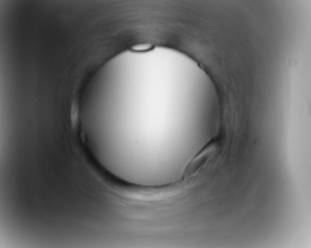 X0000088210021200705292101