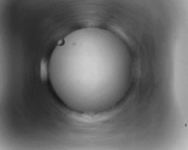 X0000088210022200705292101