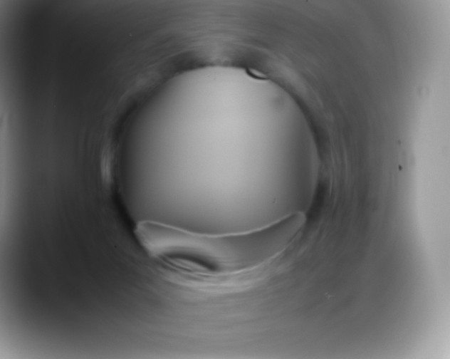 X0000088210023200705292101