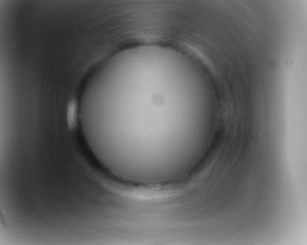 X0000088210024200705292101