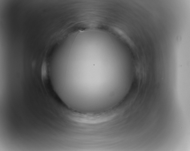 X0000088210026200705292101