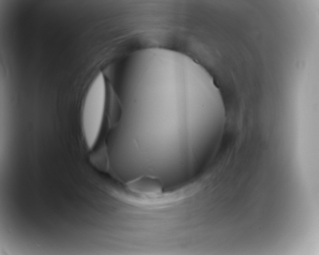 X0000088210027200705292101