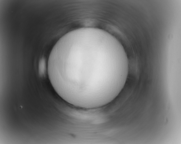 X0000088210028200705292101