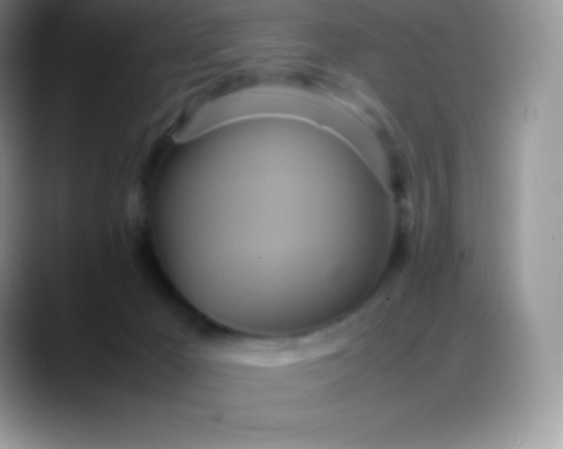 X0000088210029200705292101