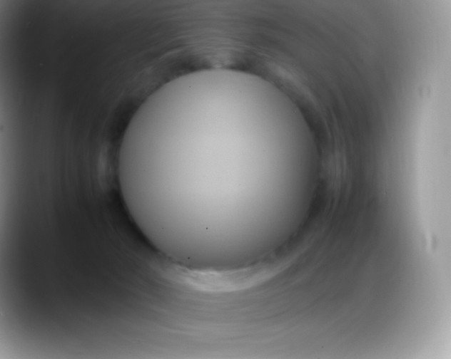 X0000088210030200705292101