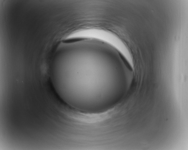 X0000088210031200705292101