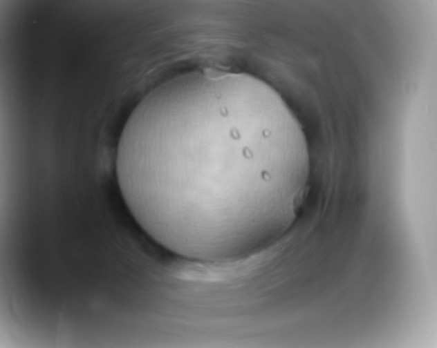 X0000088210033200705292101