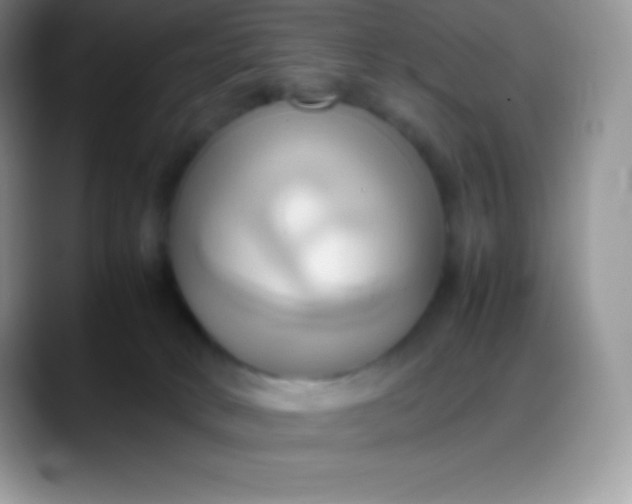 X0000088210034200705292101