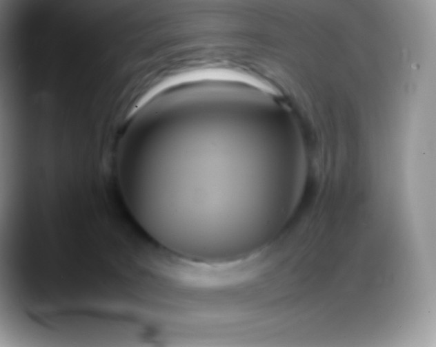 X0000088210035200705292101