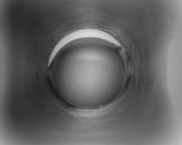 X0000088210037200705292101