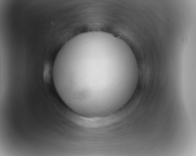 X0000088210038200705292101