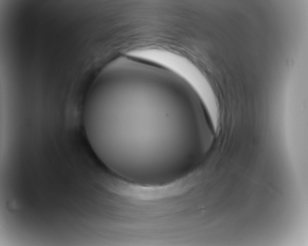 X0000088210039200705292101