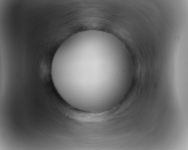 X0000088210040200705292101