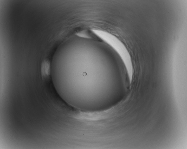 X0000088210041200705292101