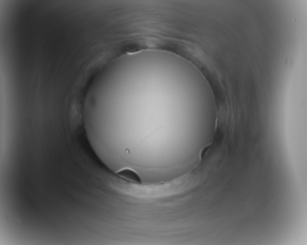 X0000088210043200705292101