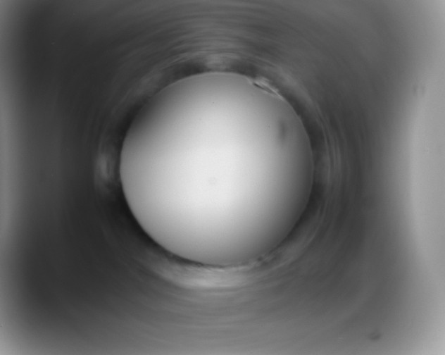 X0000088210044200705292101