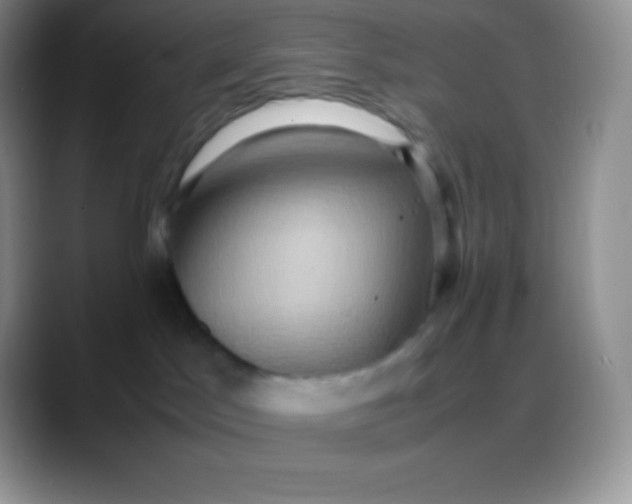 X0000088210045200705292101