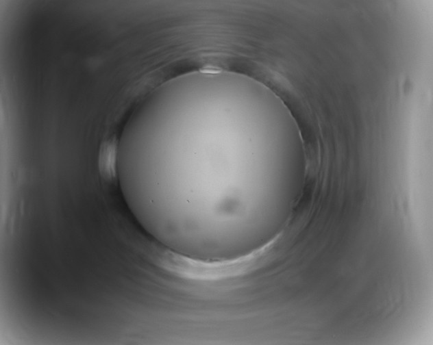 X0000088210047200705292101