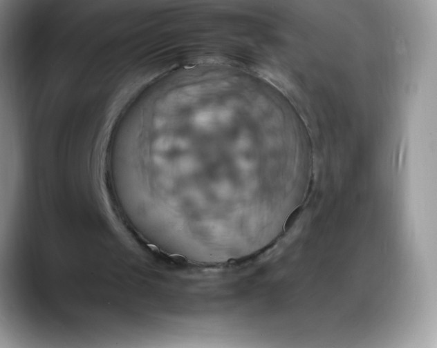 X0000088210049200705292100