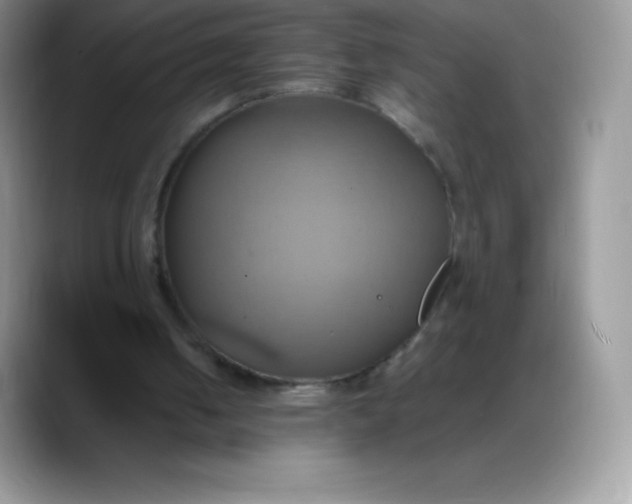 X0000088210050200705292100