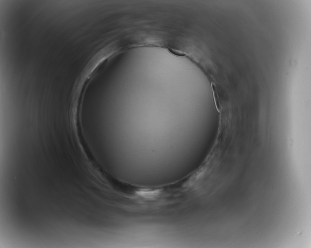 X0000088210051200705292100