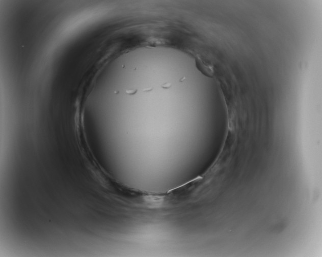 X0000088210052200705292100