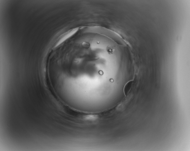 X0000088210053200705292100