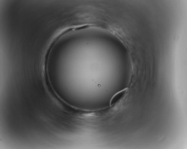 X0000088210054200705292100