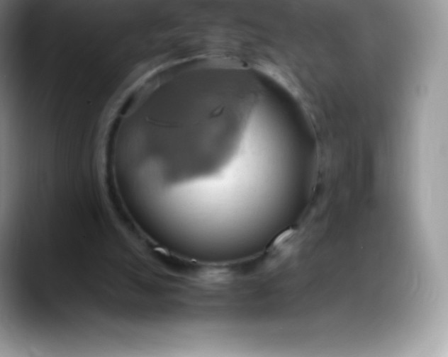 X0000088210055200705292101