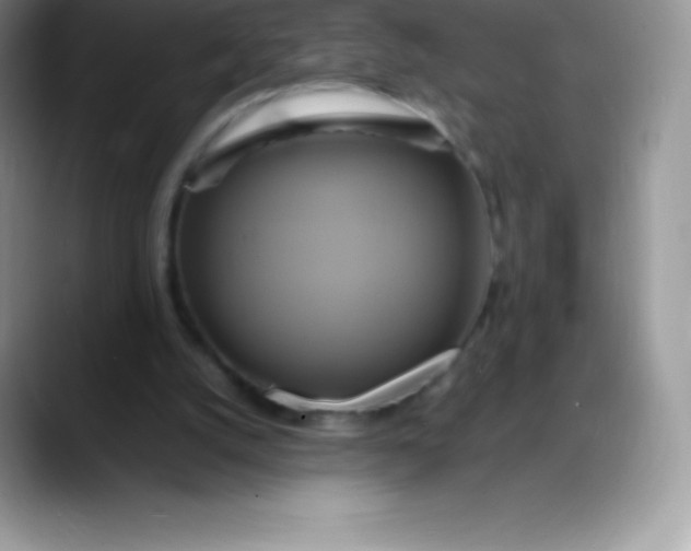 X0000088210056200705292101