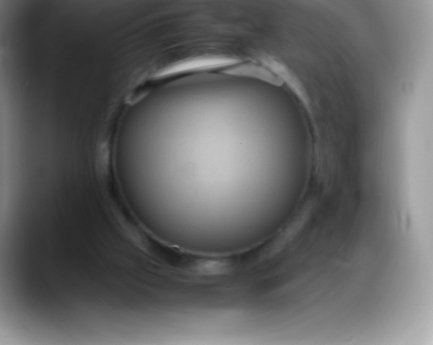 X0000088210057200705292101