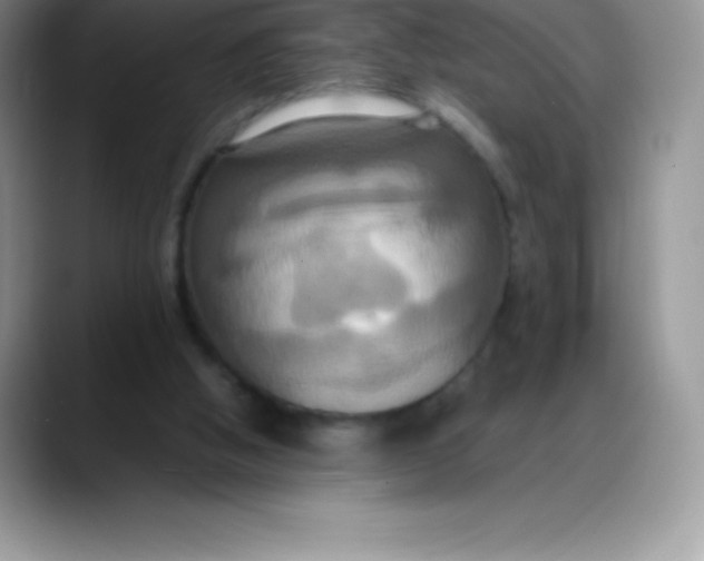 X0000088210058200705292101