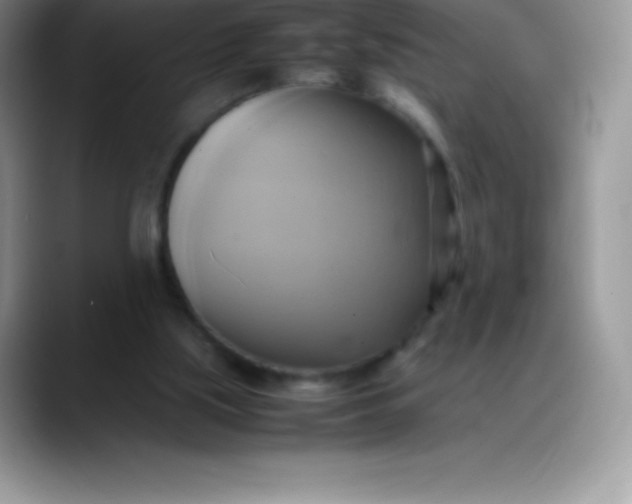 X0000088210059200705292101