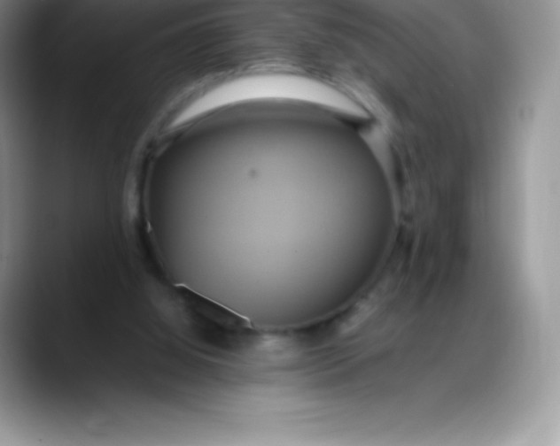 X0000088210060200705292101