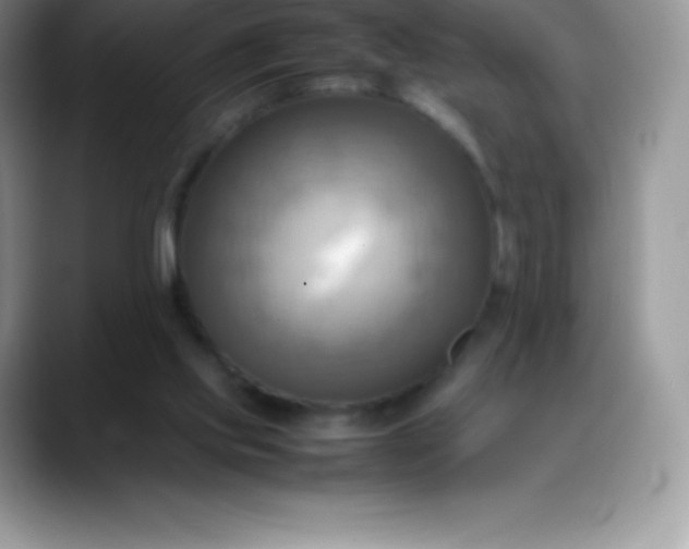 X0000088210061200705292101