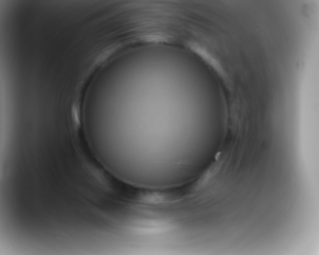 X0000088210062200705292101