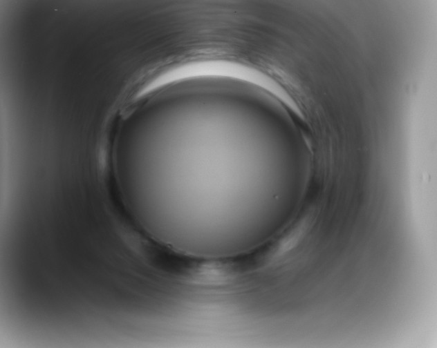 X0000088210064200705292101