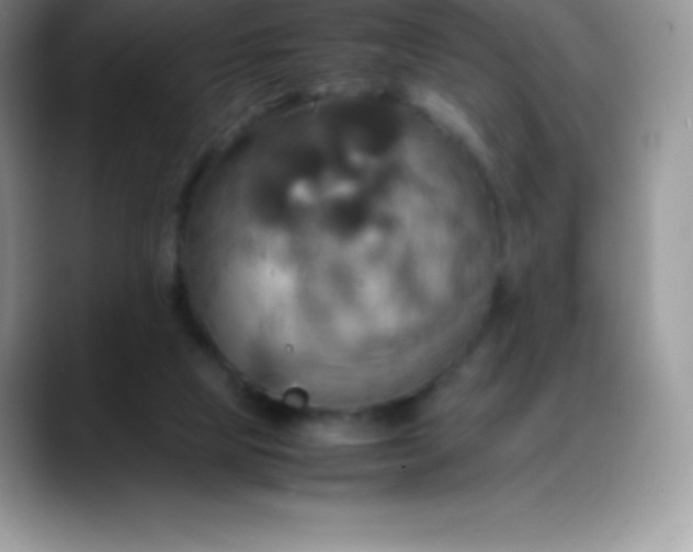 X0000088210065200705292101