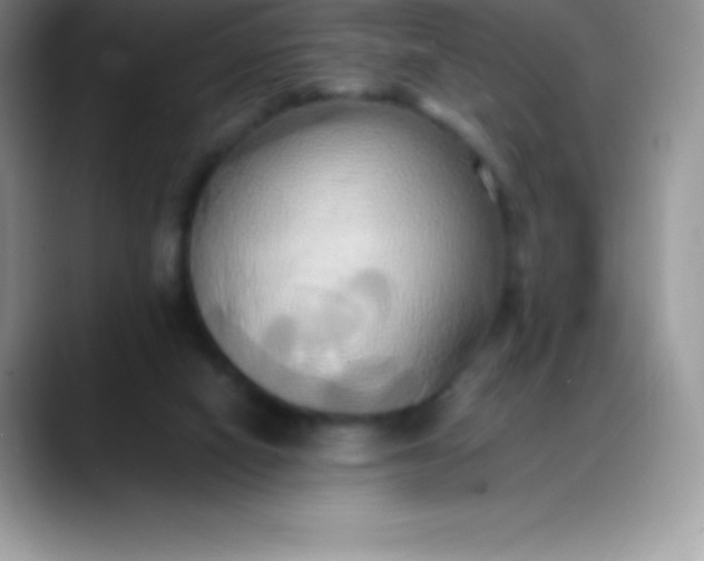 X0000088210066200705292101