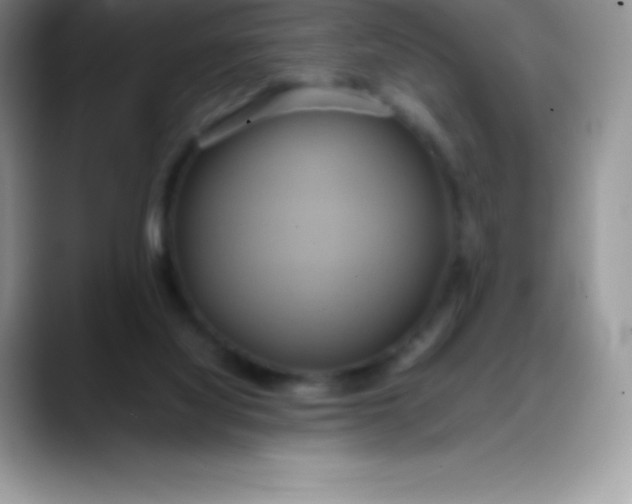 X0000088210068200705292101