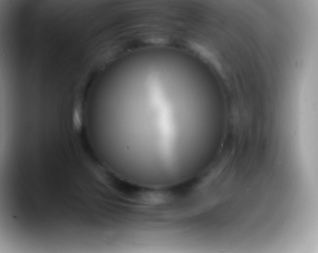 X0000088210069200705292101