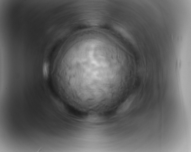 X0000088210070200705292101